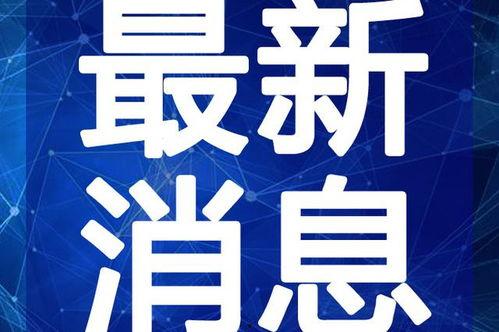 白鹿匿名爆料视频大全最新,视频大全背后的惊人真相  第1张